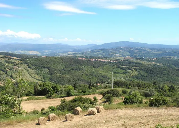 Falco-8 By Interhome